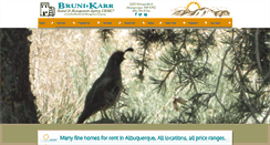 Desktop Screenshot of brunikarr.com